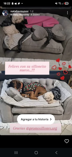 Sillon DOG