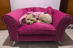 Imagen de Sillon DOG