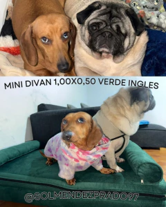 Imagen de Mini Diván 
