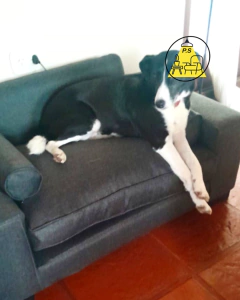 Cama PEDRO