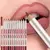 Lápices de Labios Mate
