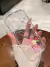 Case Colorfull transparente en internet