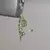 Imagen de Trebol Good Luck Keychain