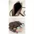 Bolso Japonés - comprar en línea