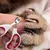 Cortadora de uñas para mascotas - comprar en línea