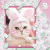 Sticker white bear holo - Nivalo Store