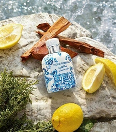 PERFUME DOLCE & GABBANA LIGHT BLUE POUR HOMME SUMMER VIBES MASCULINO EAU DE TOILETTE