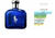 Dream Brand Collection 174 tubete - Masculino - 30ml - comprar online