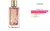 Brand Collection 287 Feminino 25ml - comprar online