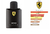 Dream Brand Collection Tubete 259 Masculino 30ml na internet