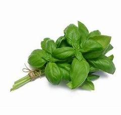 ALBAHACA MANOJO