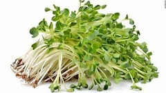 ALFALFA MANOJO