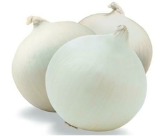 CEBOLLA BLANCA 500 GRS