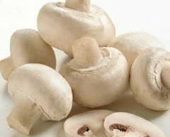 CHAMPIÑONES FRESCOS 500 GR
