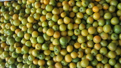 CIRUELA AMARILLA 500 GR