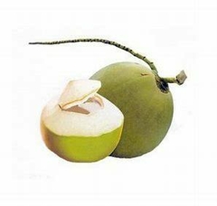 COCO VERDE PIEZA