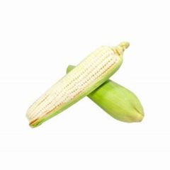 ELOTES 2 PIEZAS