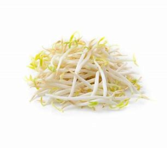 GERMEN DE SOYA 500 GR