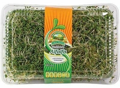 GERMINADO DE ALFALFA CLAM