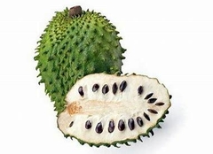 GUANABANA 500 GR