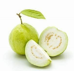 GUAYABA 500 GR