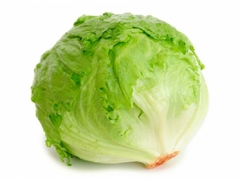LECHUGA PIEZA
