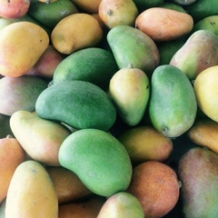 MANGO BARRANQUEÑO 500 GR