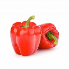 PIMIENTO MORRON ROJO PIEZA