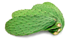 NOPAL ENTERO 500 GR