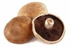 CHAMPIÑONES PORTOBELLO