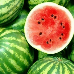 SANDIA PERSONAL PIEZA