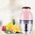 Mini Moedor Elétrico De Carne De Alimentos Picador De Frutas Voltagem:110V (STO