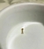 Piercing Labret Flor na internet