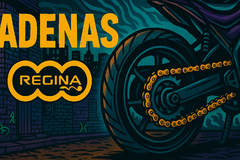 Banner de la categoría Regina
