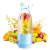 Garrafa Liquidificador Portátil (1084) - Multi&Express