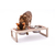 Comedouro Elevado Snooze off-white - Snooze Design