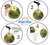Abridor Furador de Coco Perfurador Manual em Metal de 13cm - loja online