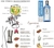 Kit Box Perfeito Gin com Acessórios e Especiarias - comprar online