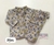 Conjunto de blusão e calça plush - comprar online