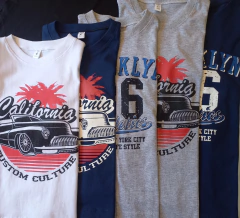 Remera Estampa California