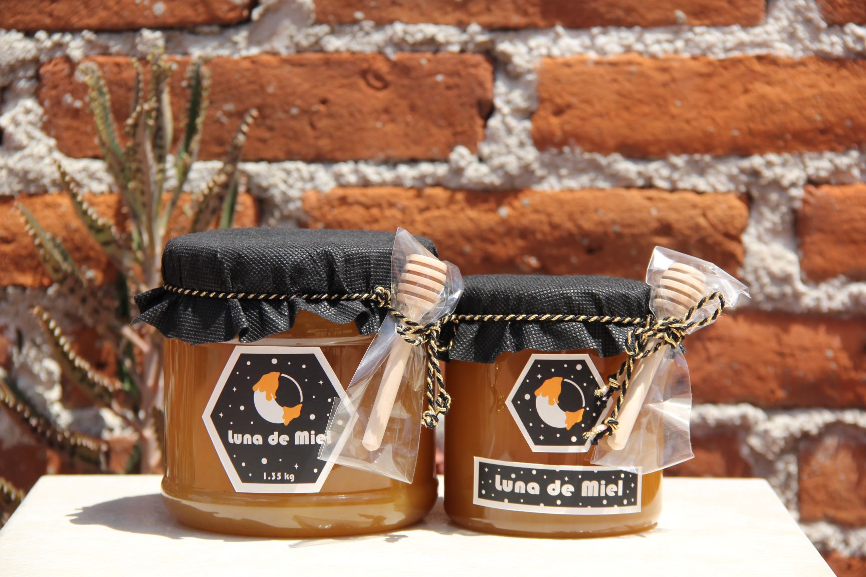 Banner de la categoría Productos