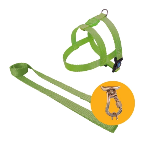 Coleira Peitoral Tradicional + Guia - 2,5cm (Porte Médio e Grande)