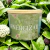 Vela aromática Energizar 100g