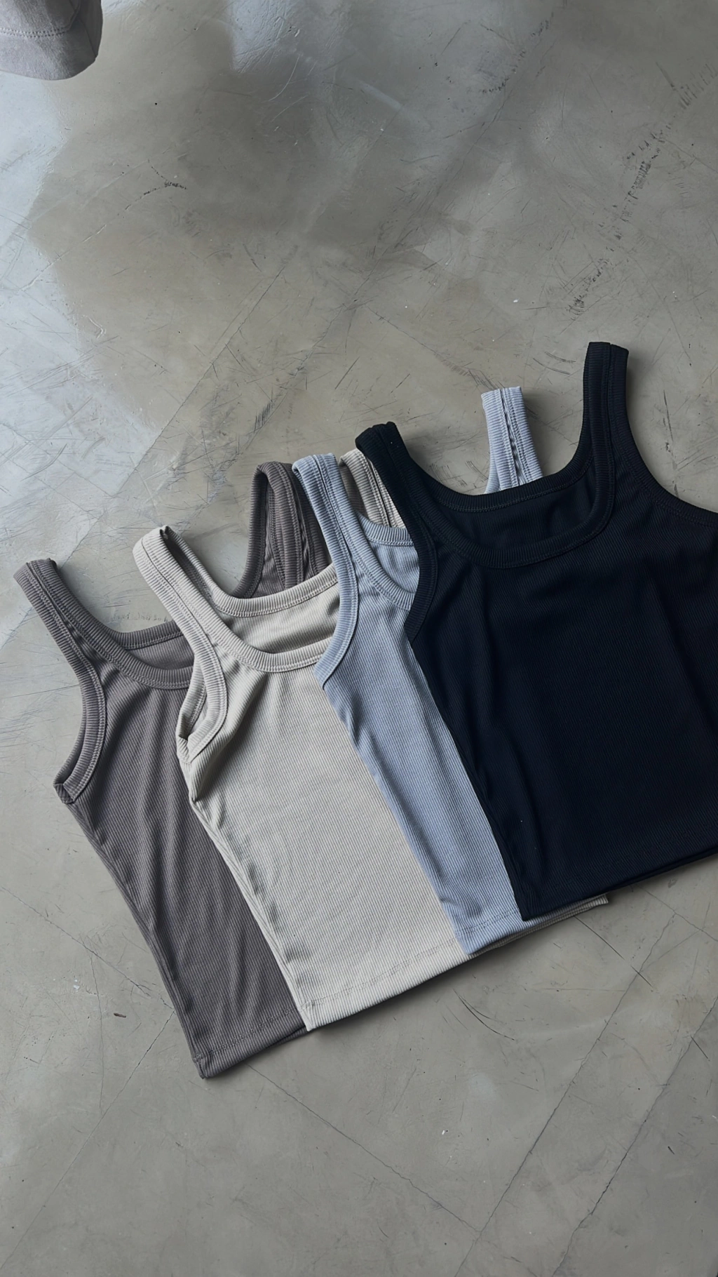 musculosa ari