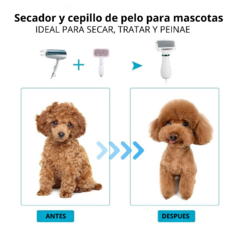 Imagen de Cepillo de mascotas 2 en 1