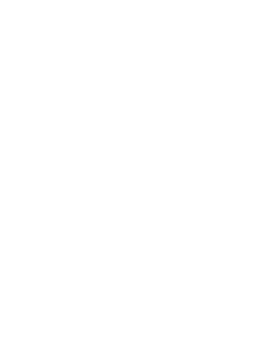 The Bit