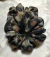 Scrunchies M (SOFT) - comprar online