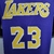 Imagem do Jersey Lebron James Los Angeles Lakers Theme Purple Round Neck 2022-2023