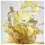 Prada Les Infusions Vetiver Eau de Parfum Feminino 100ml na internet