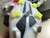Chuteira Adidas X Speedflow FG 39-45- 7 na internet